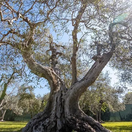 Il Bottaccio Casa Di Campagna * Venturina Terme
