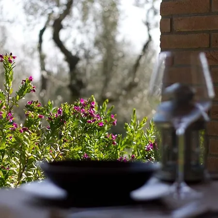 Country house Il Bottaccio Casa Di Campagna