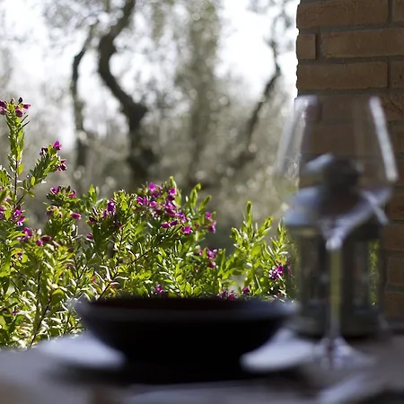 Il Bottaccio Casa Di Campagna Venturina Terme